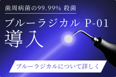 ブルーラジカルP-01導入